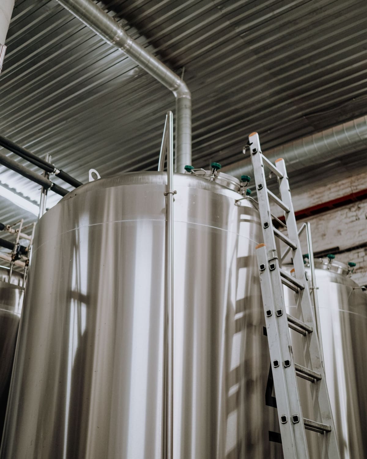 Fermentadores verticales de acero inoxidable en una sala de elaboración